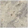 Msi Silver SAMPLE Tumbled Travertine Paver Tile ZOR-LSC-0061-SAM